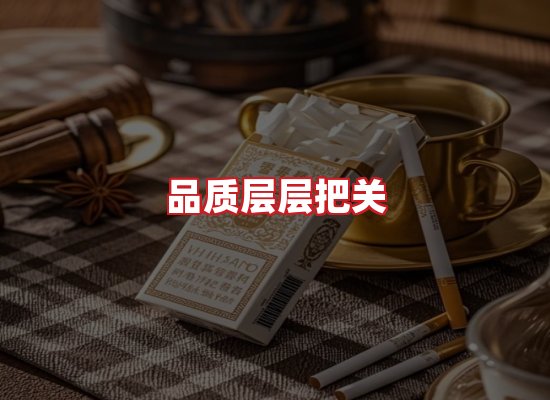 专业团队